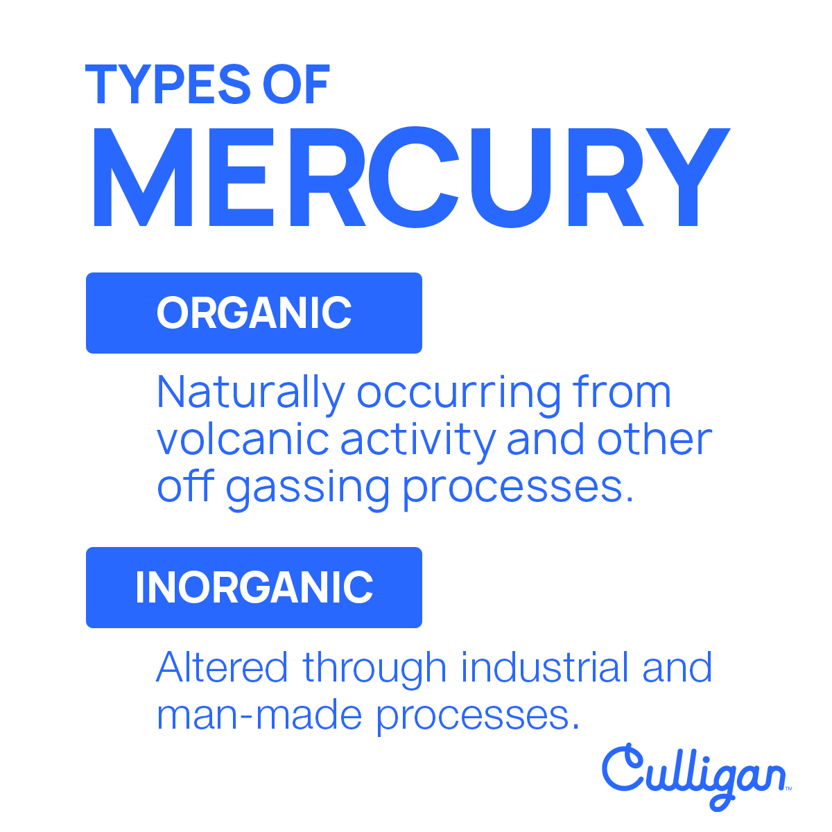 graphic explaining types of mercury 