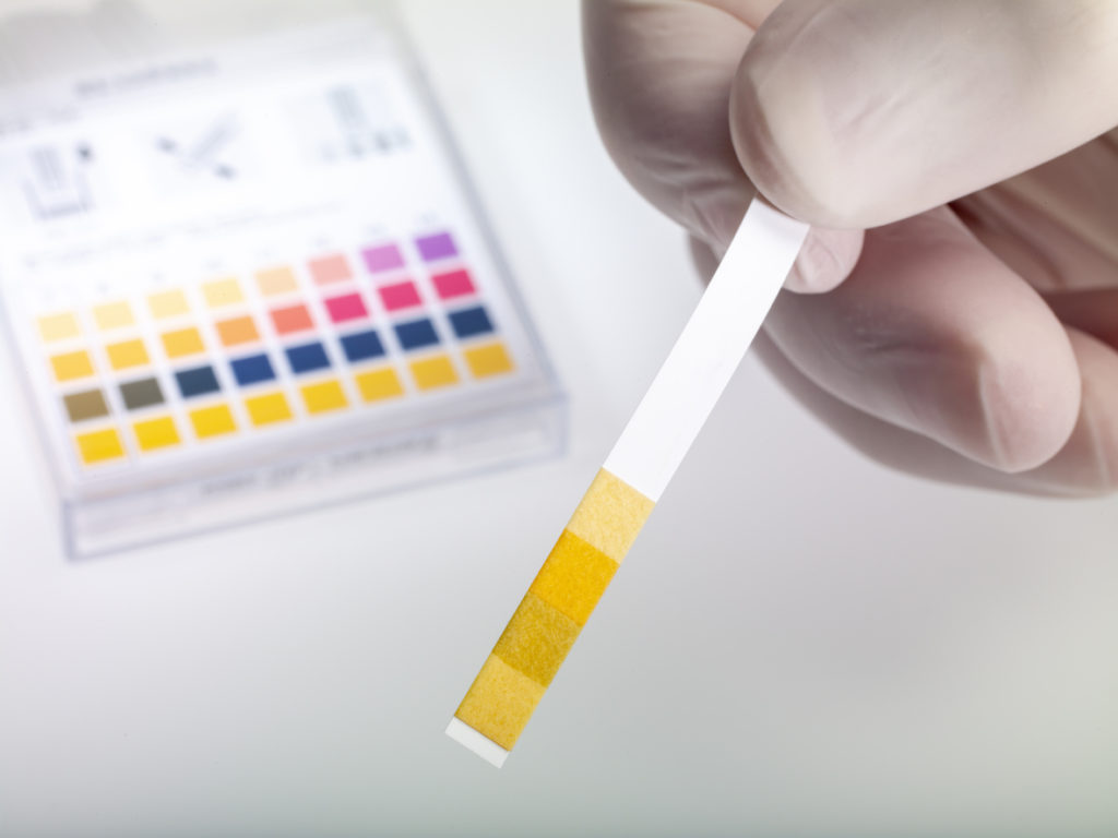 someone testing water to see its pH level