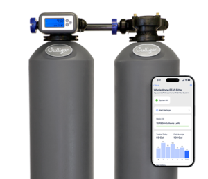 whole house pfas water filter in ventura